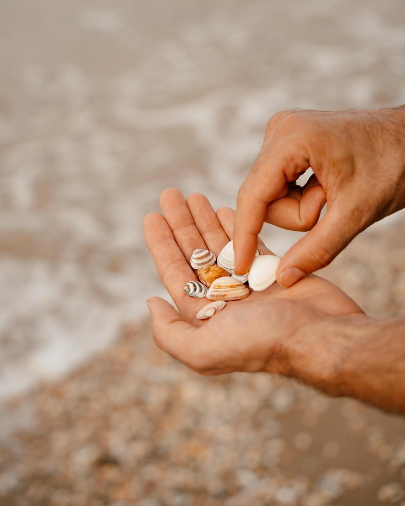 Aparthotel Ocean House Scheveningen Den Haag